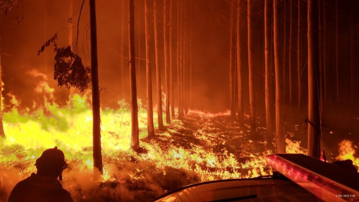 La crítica situación de Corrientes por los incendios