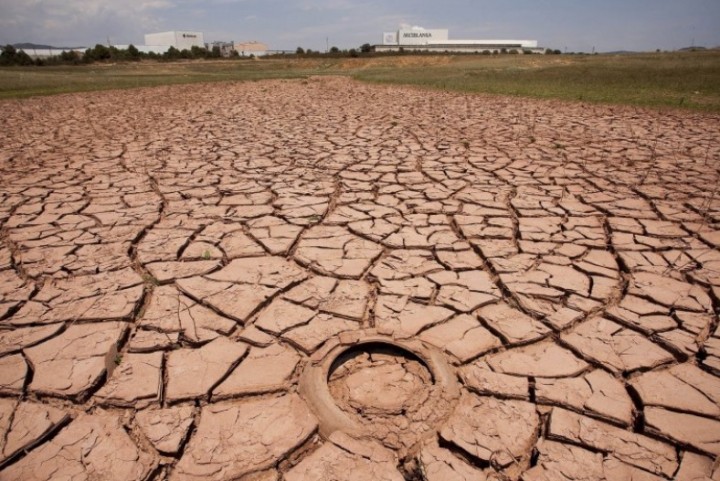 Por la sequía, declaran el estado de emergencia agropecuaria en la provincia de Buenos Aires