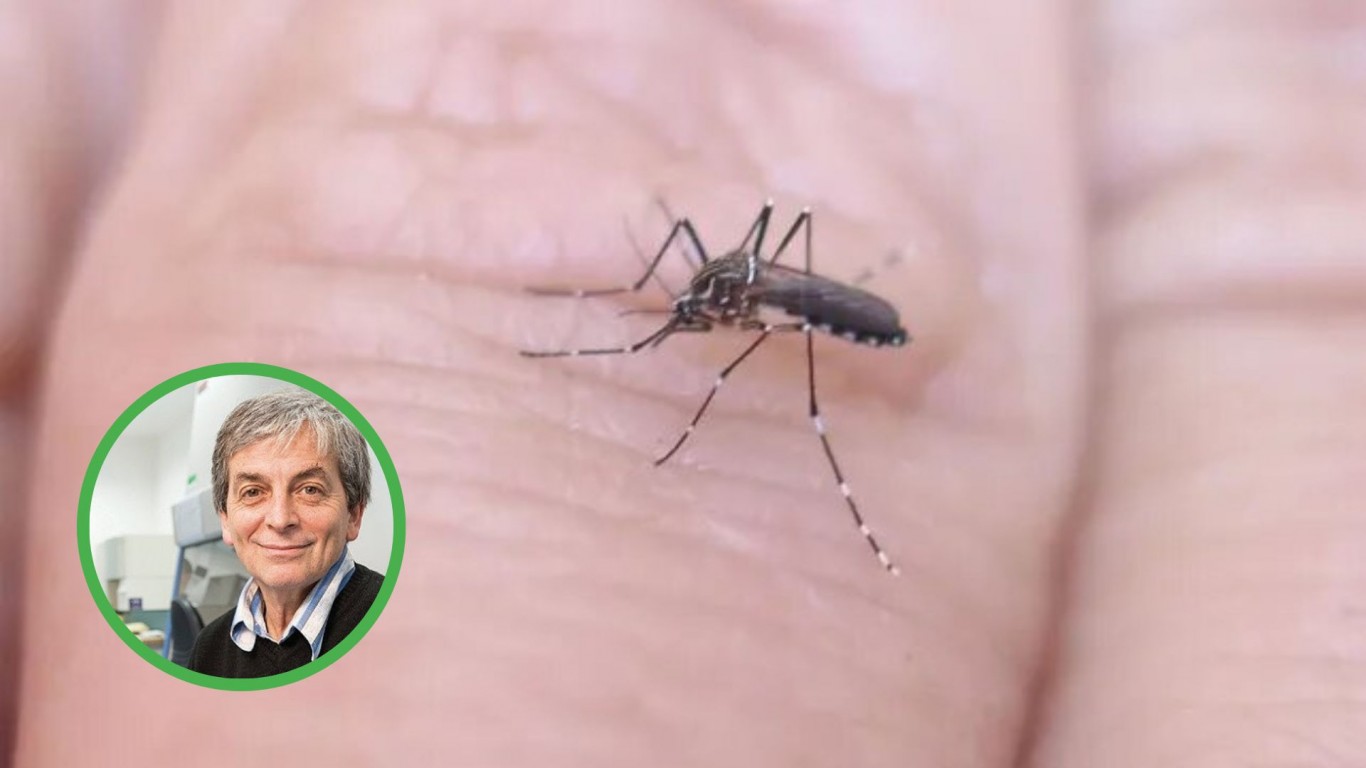 Jorge Geffner: "Para el dengue no hay vacuna, ni tratamiento y es algo complicado porque existen cuatro tipos y el caso más difícil se da en la reinfección"