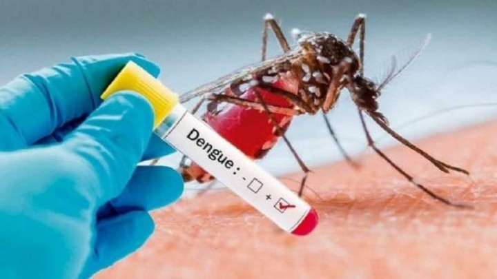 Hugo Pizzi: “Hoy hay dengue autóctono por eso va a ser mucho más complicado combatirlo”