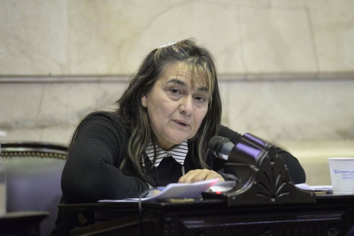 Mónica Schlotthauer: "Vamos a rechazar todo lo que anunció y proponga Milei"