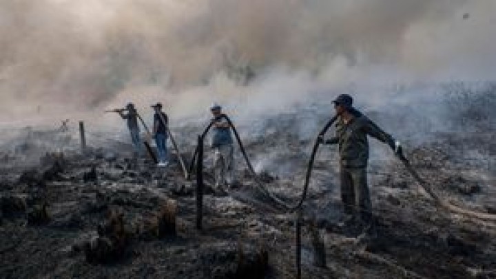 Esteros del Iberá: "Es indudable la intensidad del daño ecológico...", Walter Drews