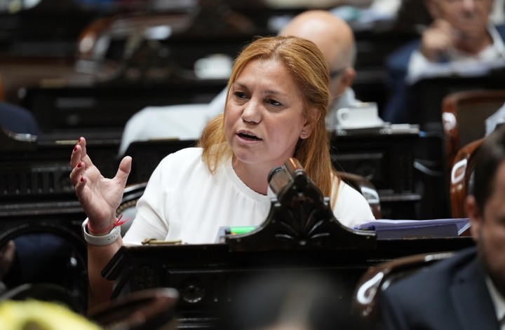 Karina Banfi: "Lo que hizo el Gobierno con la restricción de acceso a la información es inconstitucional"