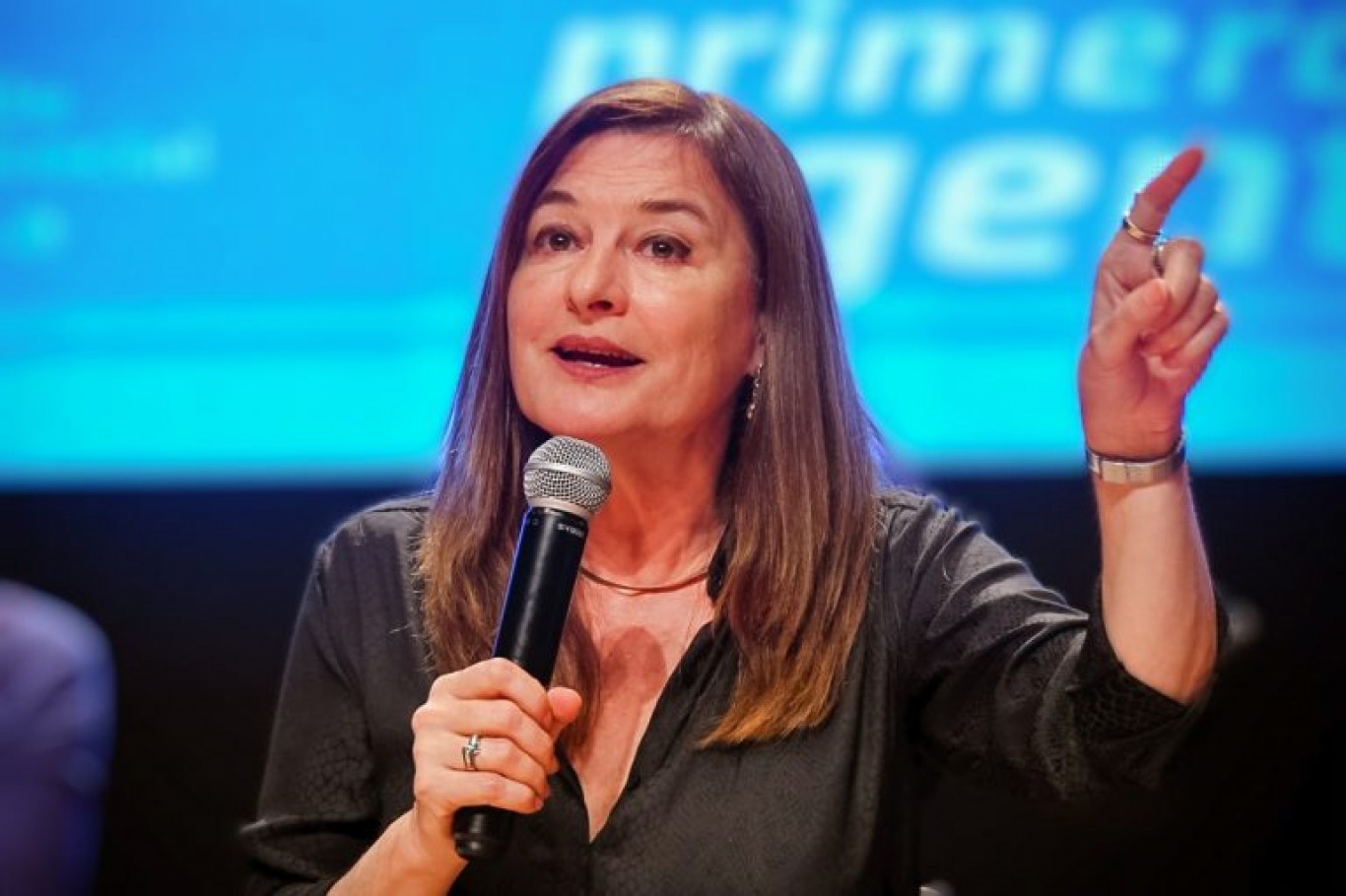 Estela Díaz: “En un año que comienzan a discutirse cargos y candidaturas Pichetto se quiere instalar en la agenda pública”